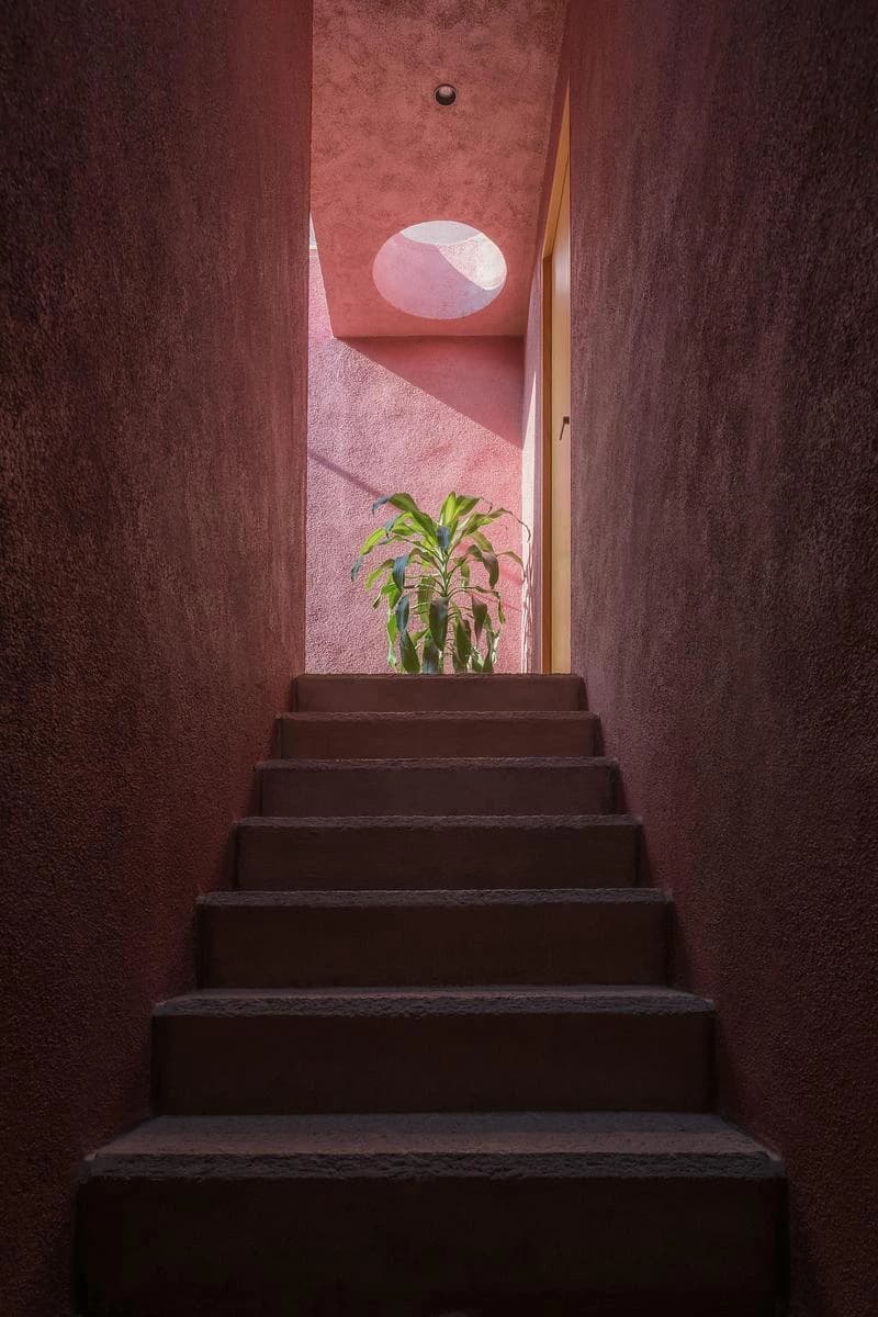 Stair between pink walls beneath a circular skylight · LGM Studio · via v2com