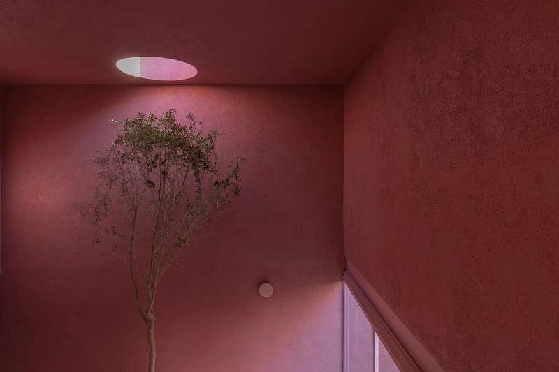 Circular roof opening above a planted interior void · LGM Studio · via v2com